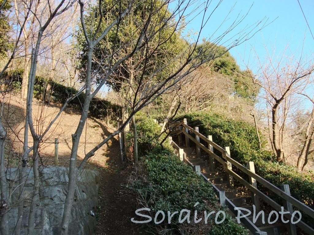 真光寺緑地へ続く長い階段