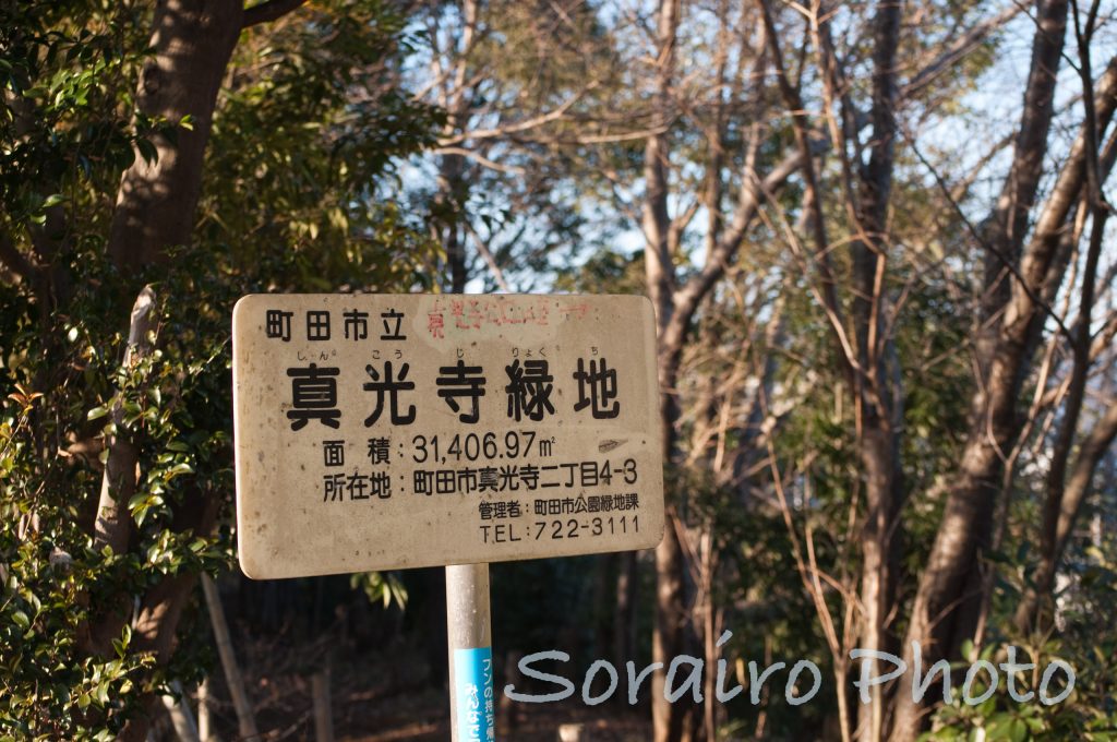 町田市にある緑地公園「真光寺緑地」です。