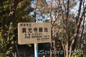 町田市にある緑地公園「真光寺緑地」です。